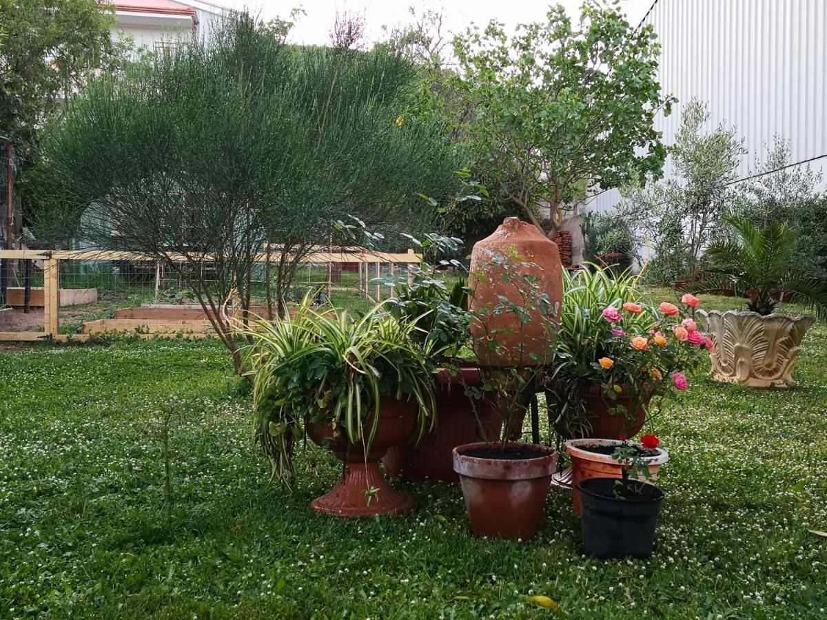 Bed and Breakfast Zia Chiarina San Nicolo Gerrei Екстер'єр фото