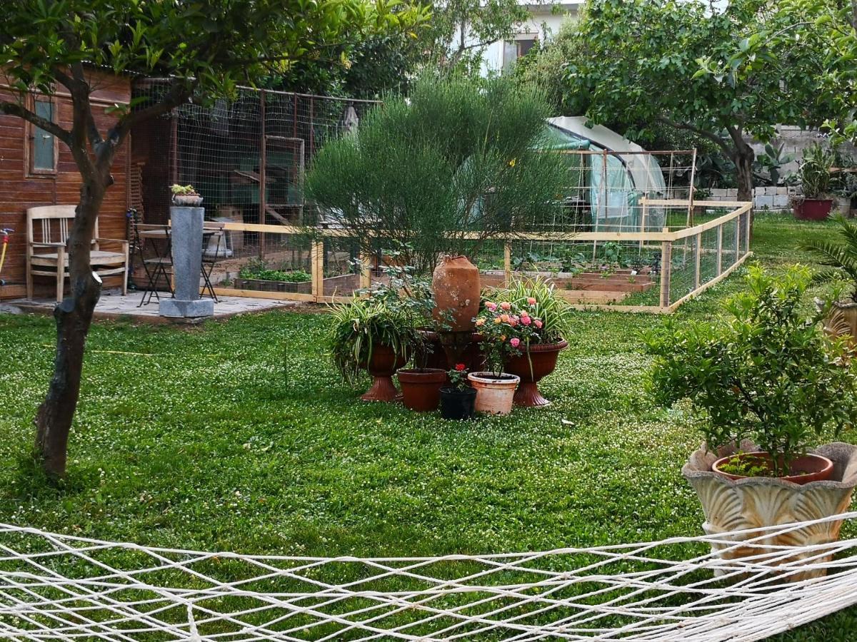 Bed and Breakfast Zia Chiarina San Nicolo Gerrei Екстер'єр фото