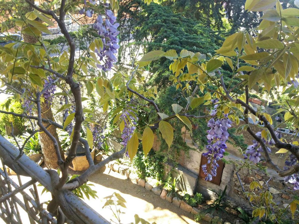 Bed and Breakfast Zia Chiarina San Nicolo Gerrei Екстер'єр фото