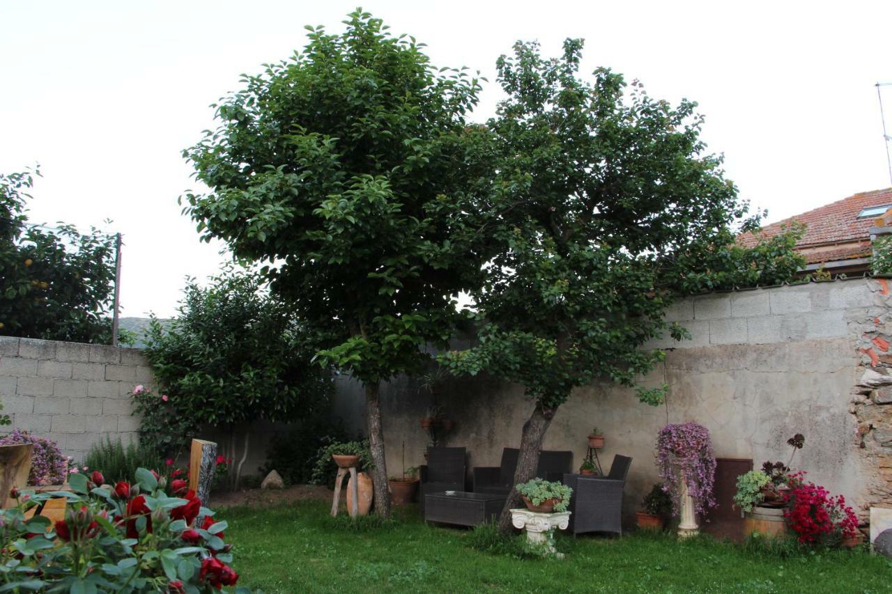 Bed and Breakfast Zia Chiarina San Nicolo Gerrei Екстер'єр фото